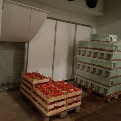 Rapid cooling for berry fruits