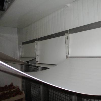 Rapid cooling for berry fruits