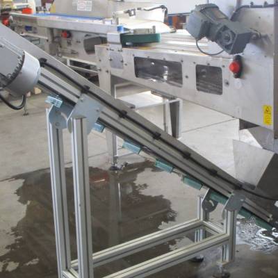 Conveyor belt for the removal of asparagus cuttings - Accessory