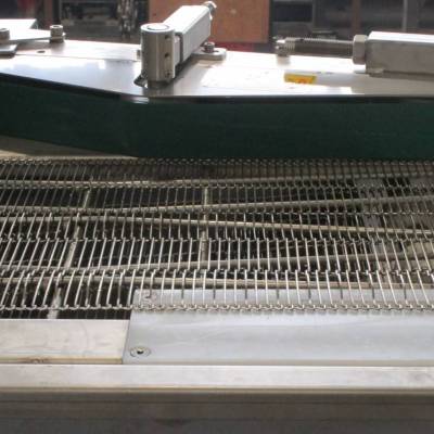 Mesh belt of the washing and cutting unit