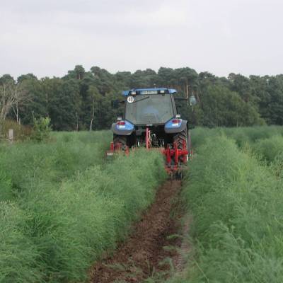Multipurpose hoe CHAMÄLEON at the rear