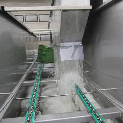 SVW 144 Vorwäsche 1-bahing mit 4 Pumpen und 4 Wasserkästen speziell für Grünspargel